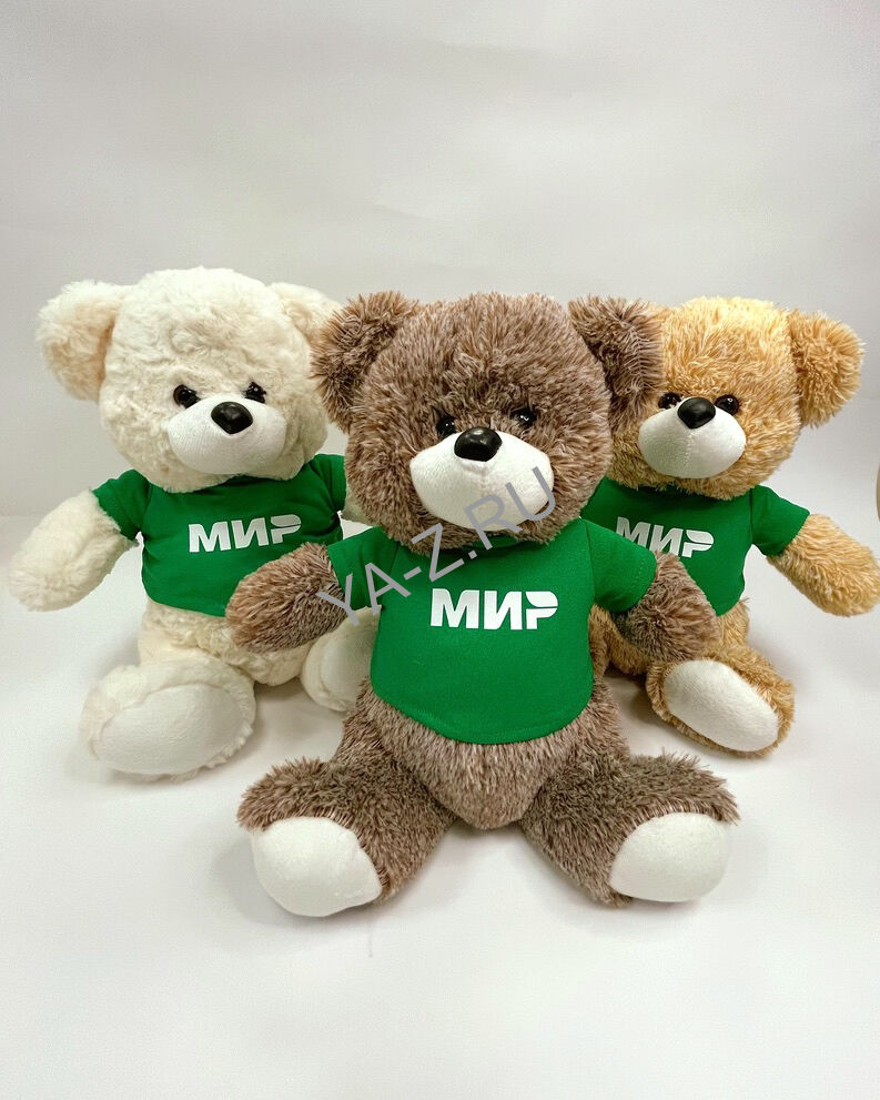 Медведь плюшевый для "МИР"