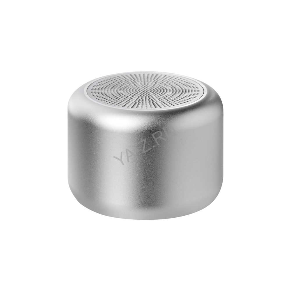Беспроводная колонка Пэшн (Passion) 80dB 600 mAh (Bluetooth 5.0), серебряная