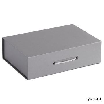 Коробка Case, серебристая