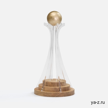 Кубок Everball c 3D-элементами