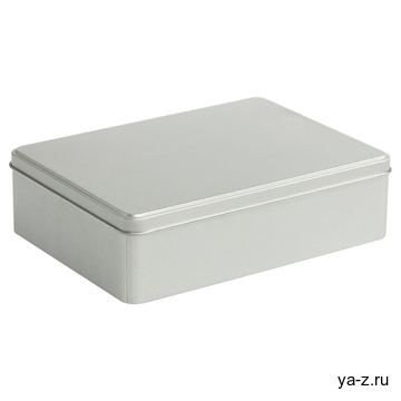 Коробка Pragmax L, прямоугольная, серебристая