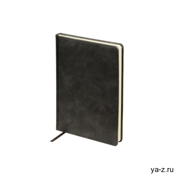 Ежедневник недатированный А5 «Classic»