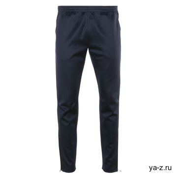 Брюки мужские STAN полиэстер, 260, 94, Тёмно-синий,  (46)  (50/L)